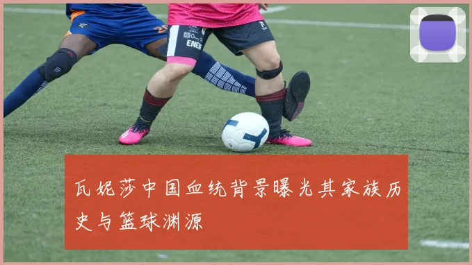 瓦妮莎中国血统背景曝光其家族历史与篮球渊源