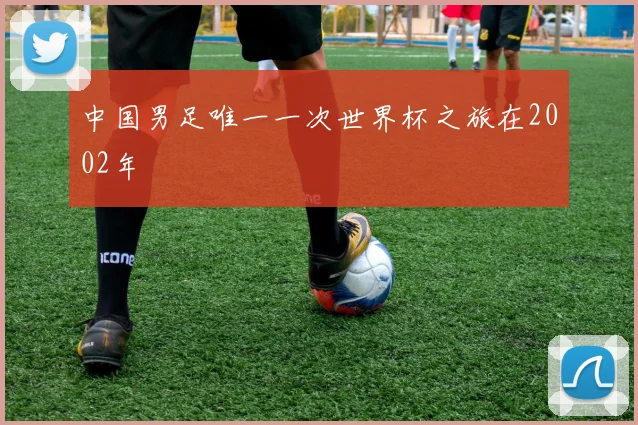 中国男足唯一一次世界杯之旅在2002年