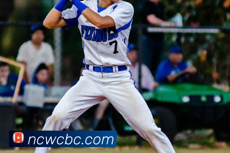 世界杯开户平台服务体系